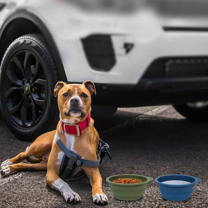 2-Pack Collapsible Dog Bowls with Integrated Molding, No Plastic Rim, Ideal for Travel and Outdoor Use, 600ml (Navy Blue & Dark Green)